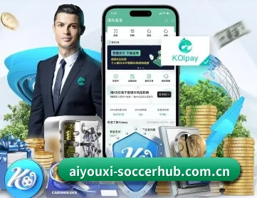 爱游戏体育足球 APP