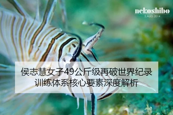 hou-zhi-hui-nv-zi-gong-jin-ji-zai-po-shi-jie-ji-lu-xun-lian-ti-xi-he-xin-yao-su-shen-du-jie-xi-3-704.jpg
