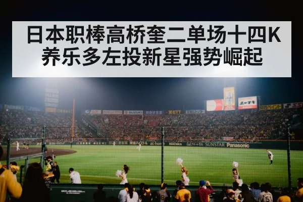 baseball stadium night lights